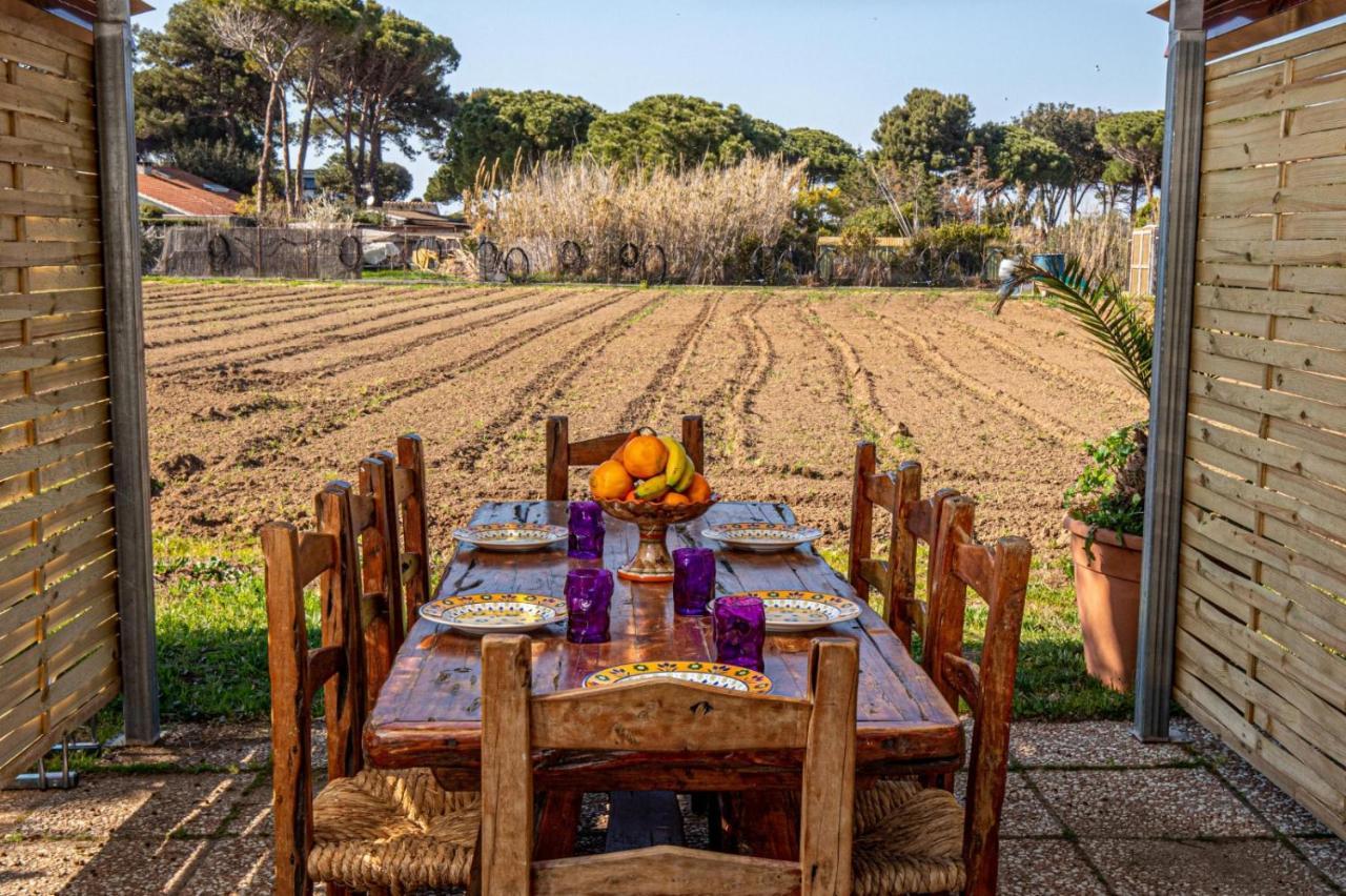 Giannella Tuscany Holidays Esterno foto